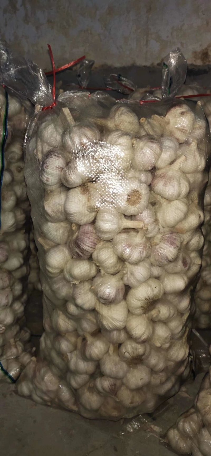 【精品大蒜】大量上市产地直供保质保量货源充足