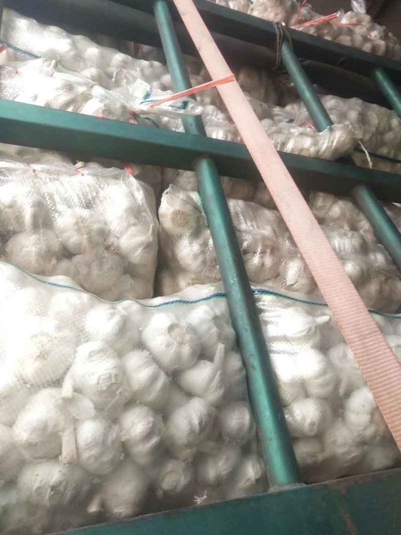 【精品大蒜】大量上市产地直供保质保量货源充足