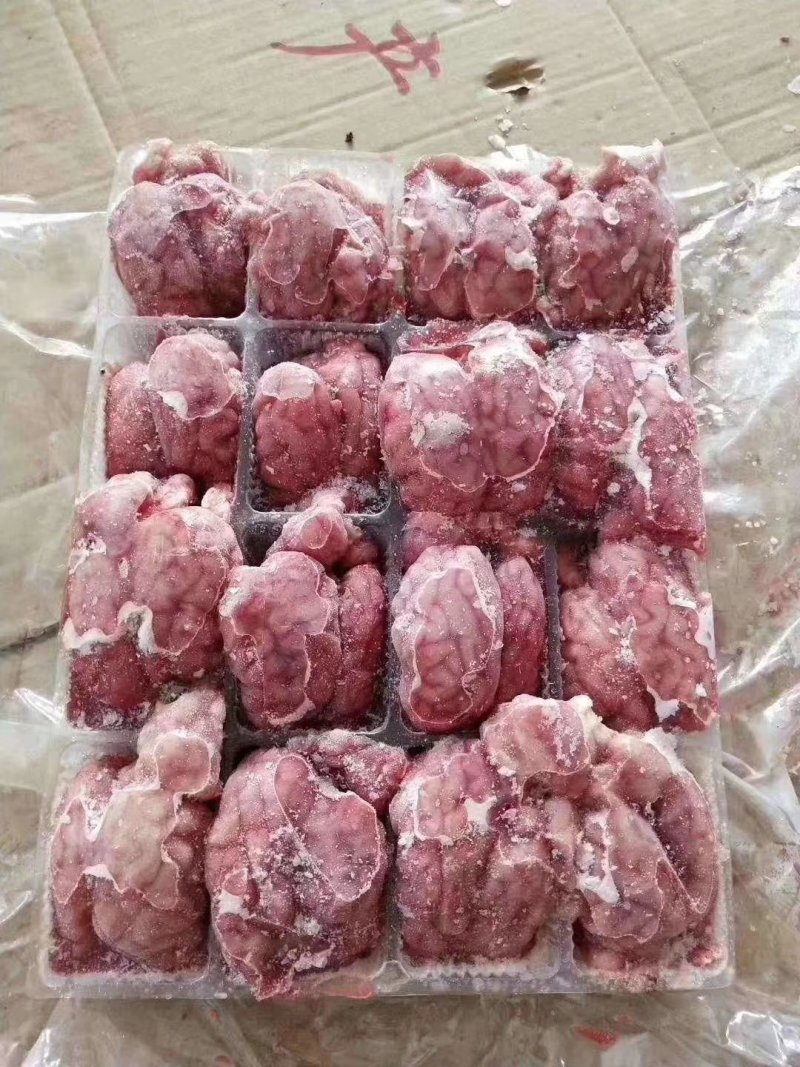 单冻羊对脑，颜色鲜，质量保证，常年供货，一手货源。