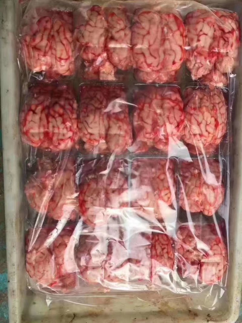 单冻羊对脑，颜色鲜，质量保证，常年供货，一手货源。