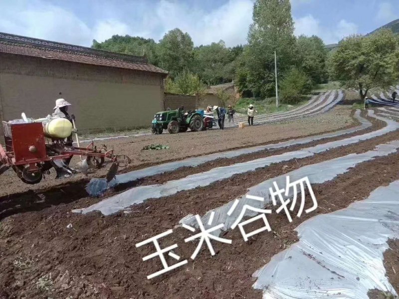 种植机四轮拖拉机带的玉米膜上种植机播种机大豆花生播种机