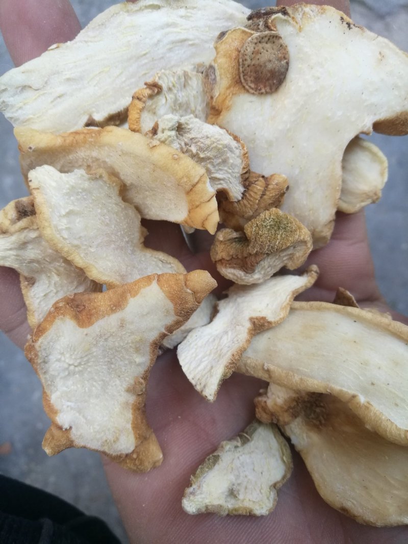 黄精片(切片)诚信第一