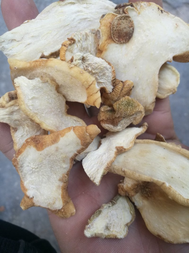 黄精片(切片)诚信第一