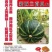 板栗南瓜种子，新选育，品质好，市场上热销品种！