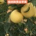 嫁接苹果树苗黄金帅苹果苗香蕉苹果当年结果南北方庭院盆