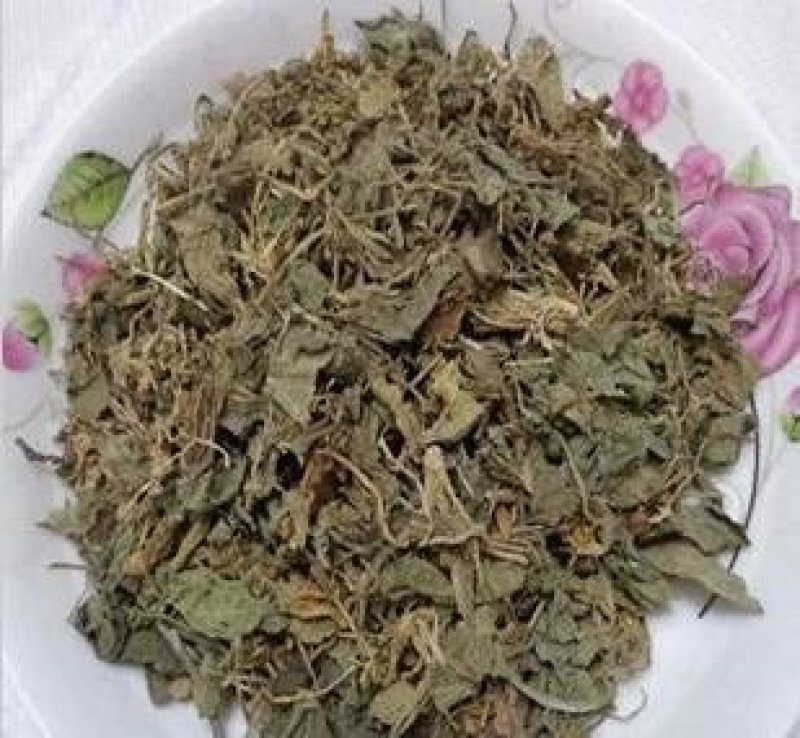 地丁，紫花野生地丁，常年批发供应中药材