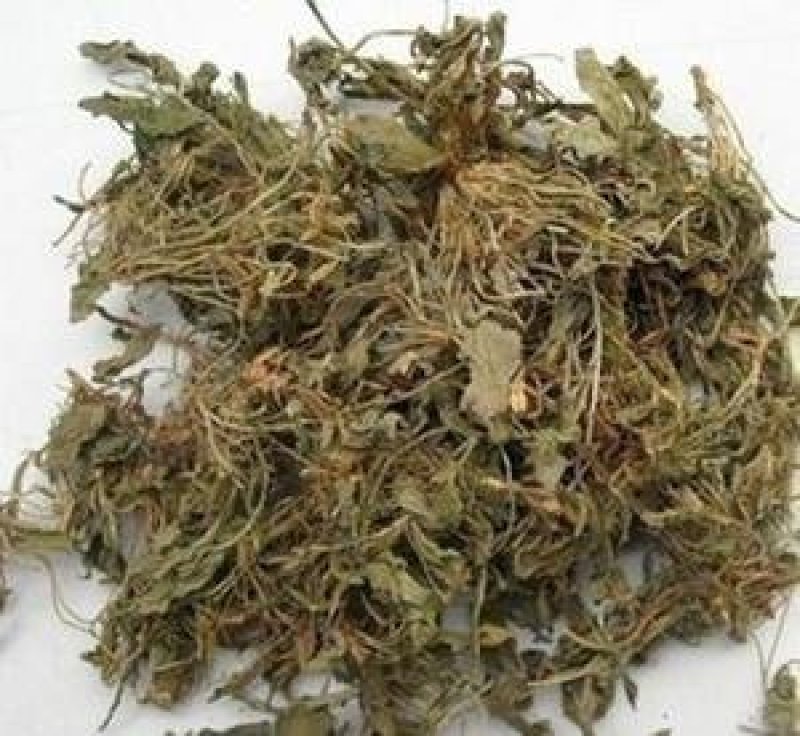 地丁，紫花野生地丁，常年批发供应中药材