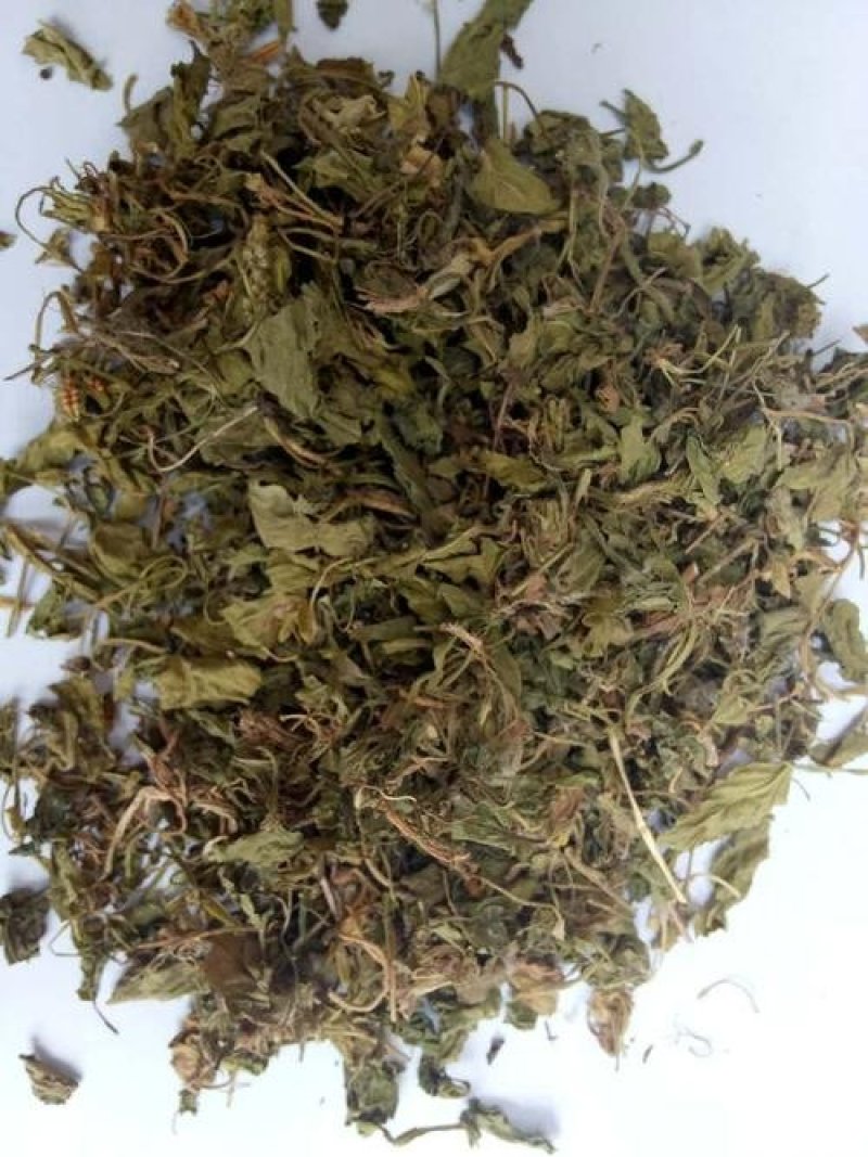 地丁，紫花野生地丁，常年批发供应中药材