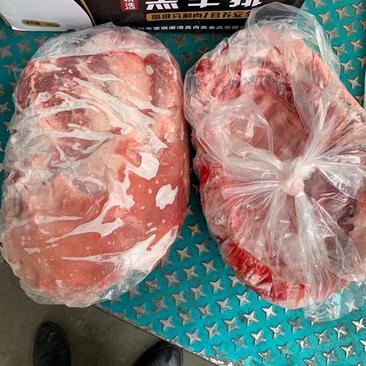 国产羔羊全排，去皮，23一斤，每件净重19斤，5-6片