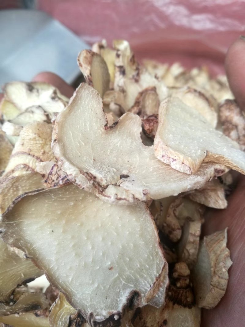 白芨片(切片三叉白艿，货白)片子大，颜色好