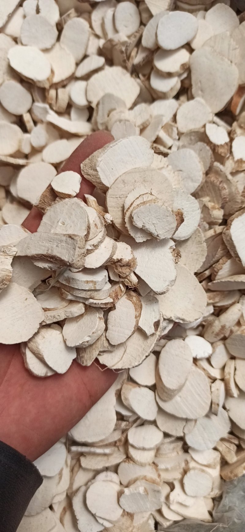 天花粉可打粉正品各种规格专业中药批发