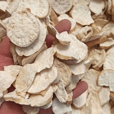 天花粉可打粉正品各种规格专业中药批发