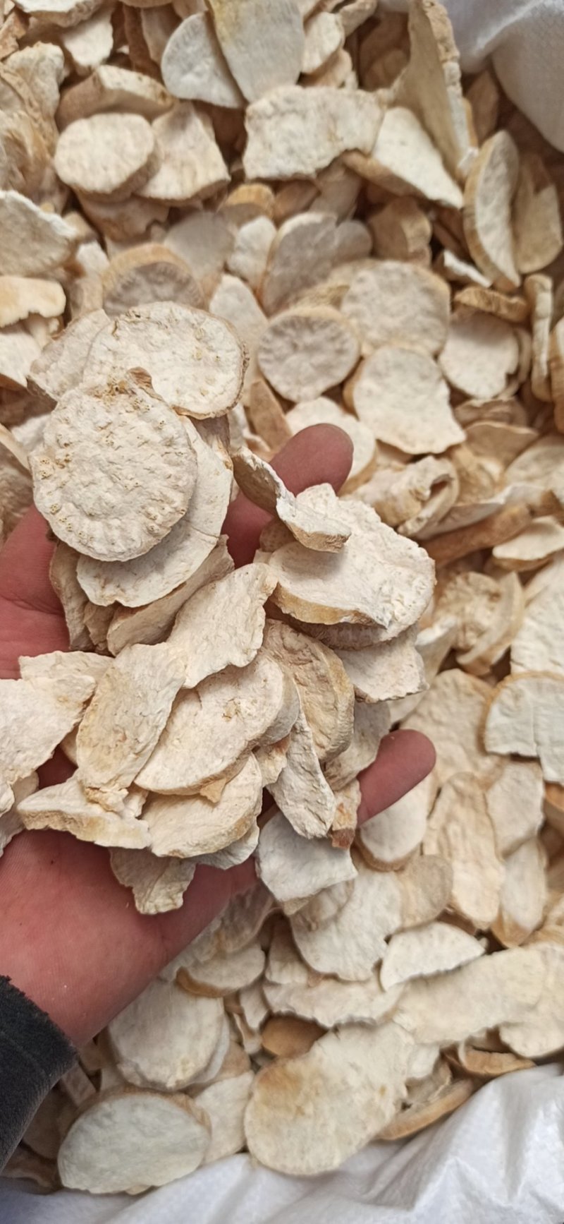 天花粉可打粉正品各种规格专业中药批发