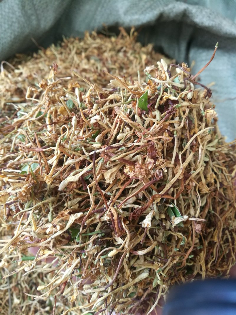 云南野生金银花产地直销