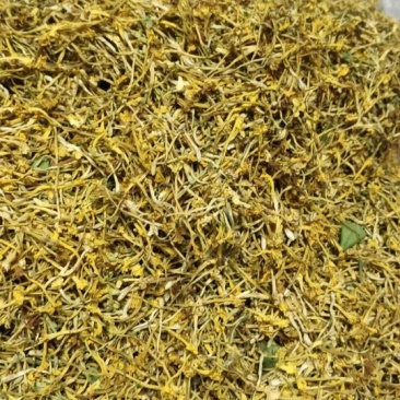 云南野生金银花产地直销