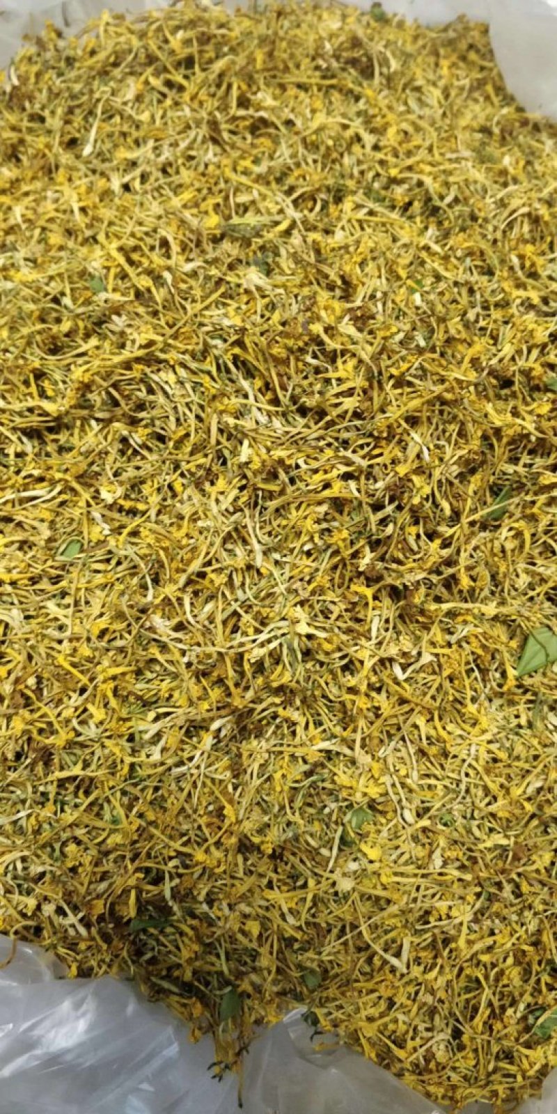 云南野生金银花产地直销