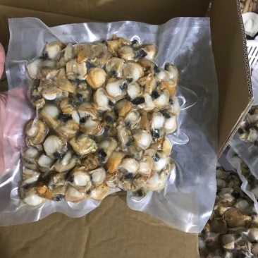 扇贝肉！！一袋一斤装！！新鲜取肉急冻，鲜度非常好！！好吃