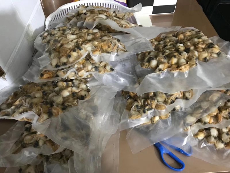 扇贝肉！！一袋一斤装！！新鲜取肉急冻，鲜度非常好！！好吃