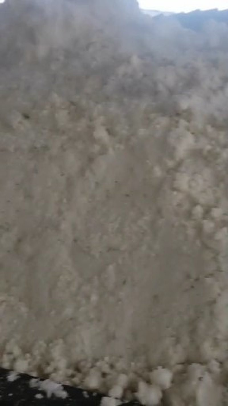 豆渣饲料大量现货供应，需要的老板请电话联系