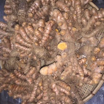 越南进口红皮姜，大量供货