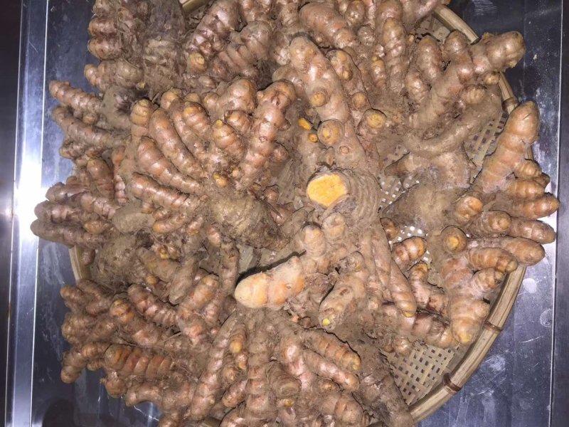 越南进口红皮姜，大量供货