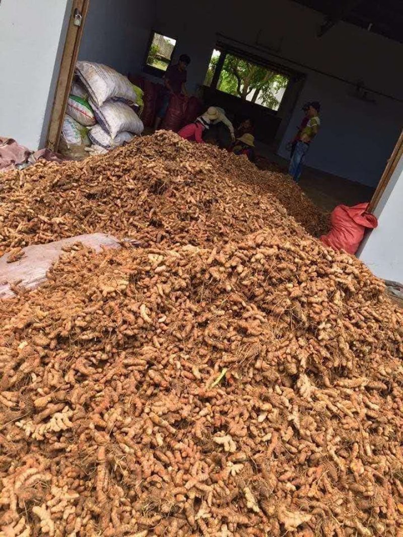 越南进口红皮姜，大量供货
