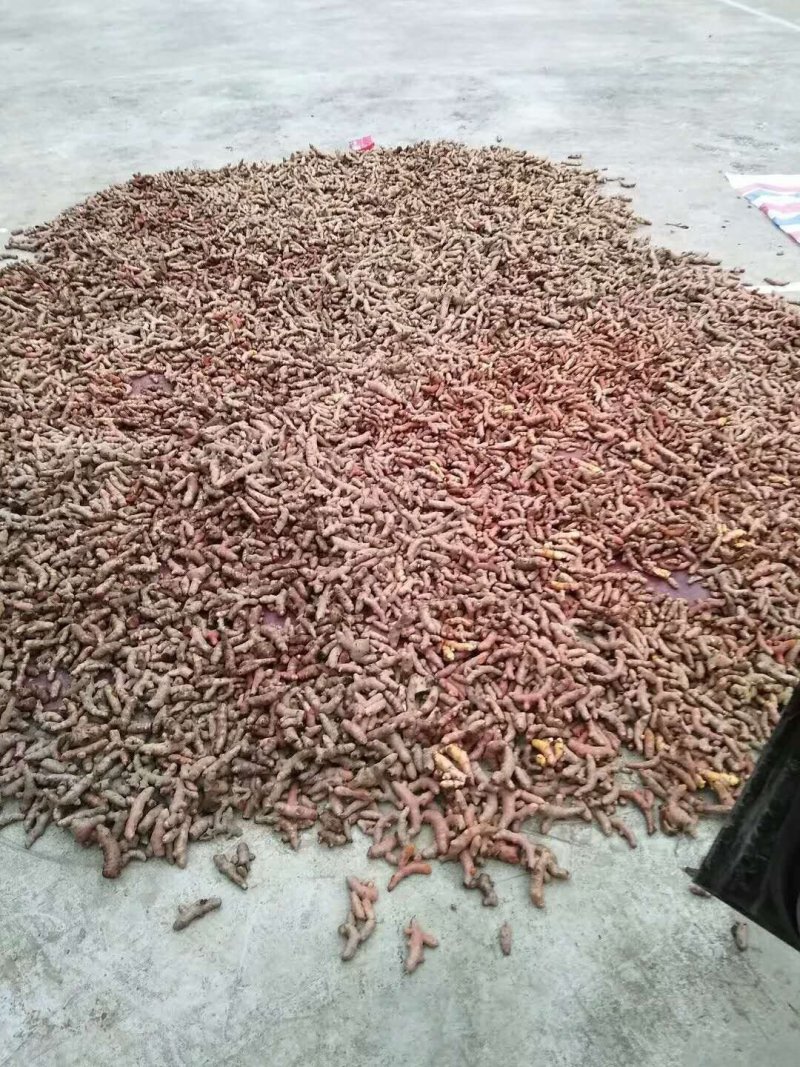 越南进口红皮姜，大量供货