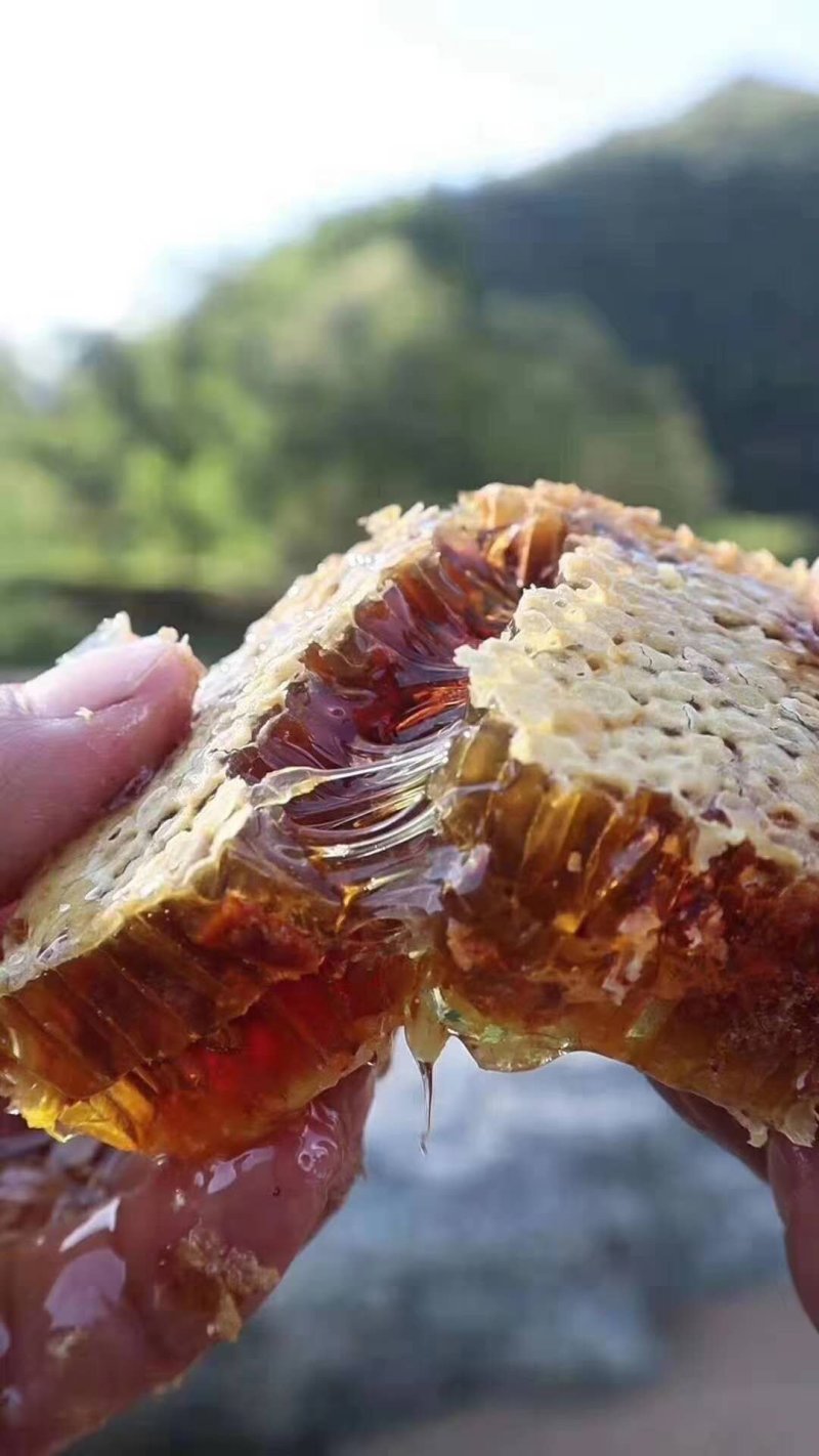 野生蜂蜜