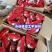 【一件代发】神农架精选红菇干货，农家美味红蘑菇，一手货源
