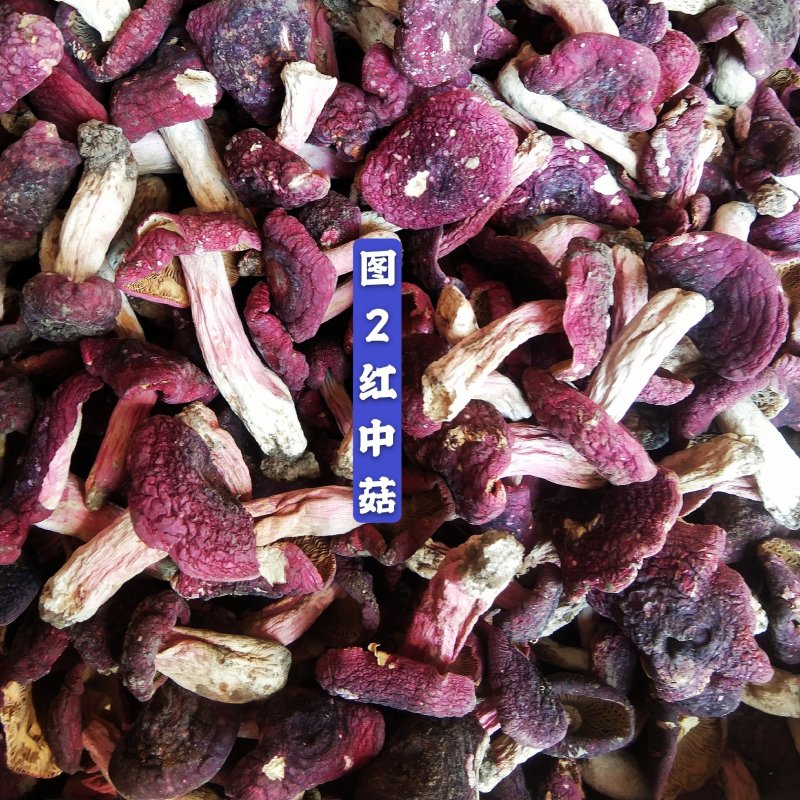 【一件代发】神农架精选红菇干货，农家美味红蘑菇，一手货源
