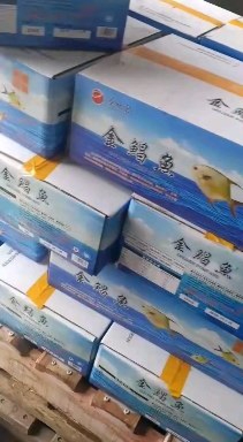 金昌鱼冷冻量大从优加工批发零售