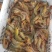 天然明虾酒店饭馆空运供应商