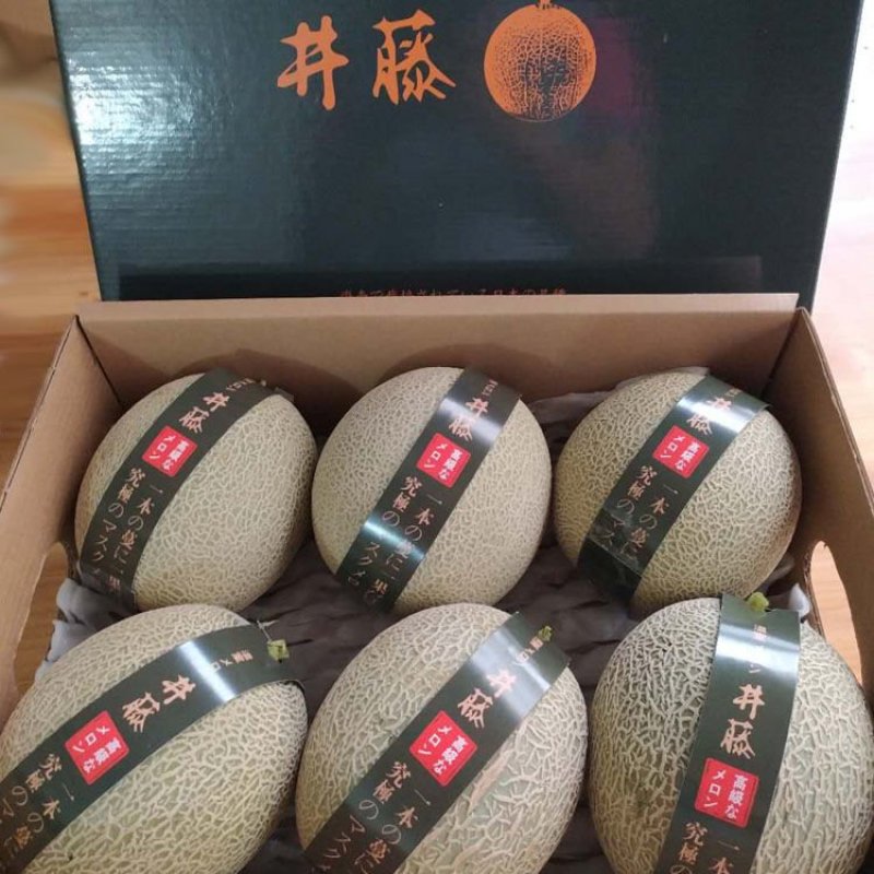 山东燕店玫龙甜瓜玫龙蜜瓜大量供应实力代办