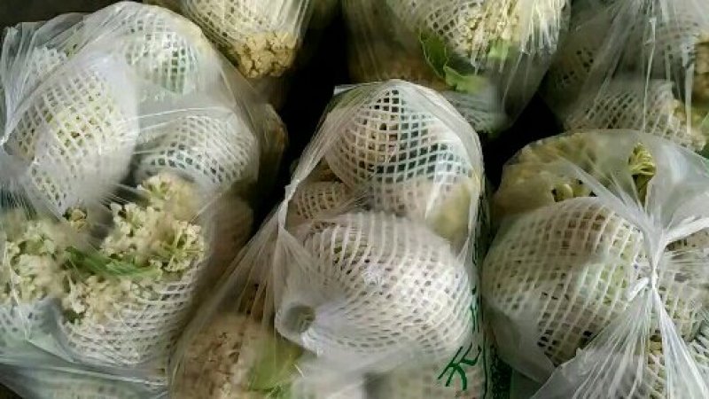 有机菜花菜松花大量上市湖北当阳合作社直供质优价廉