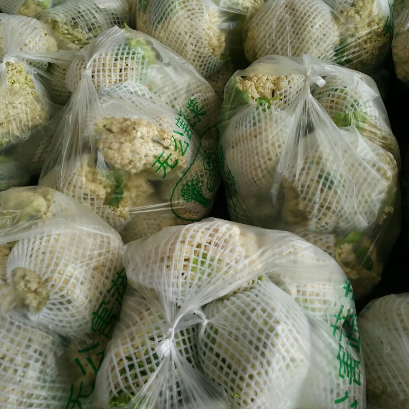有机菜花菜松花大量上市湖北当阳合作社直供质优价廉