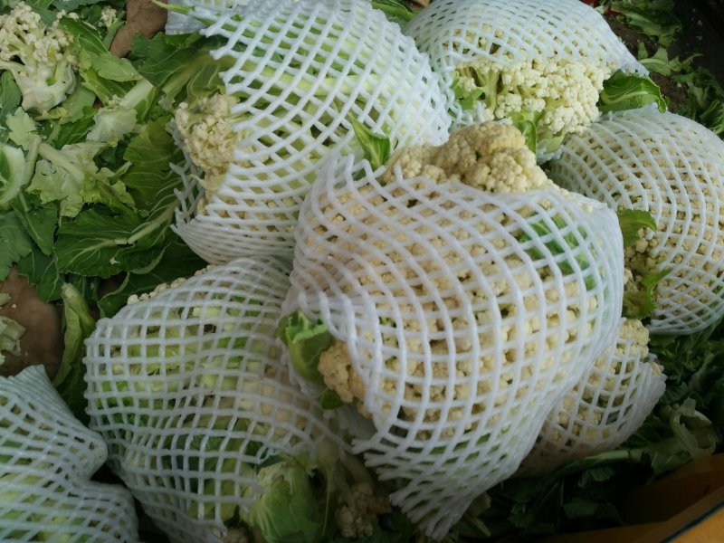 有机菜花菜松花大量上市湖北当阳合作社直供质优价廉