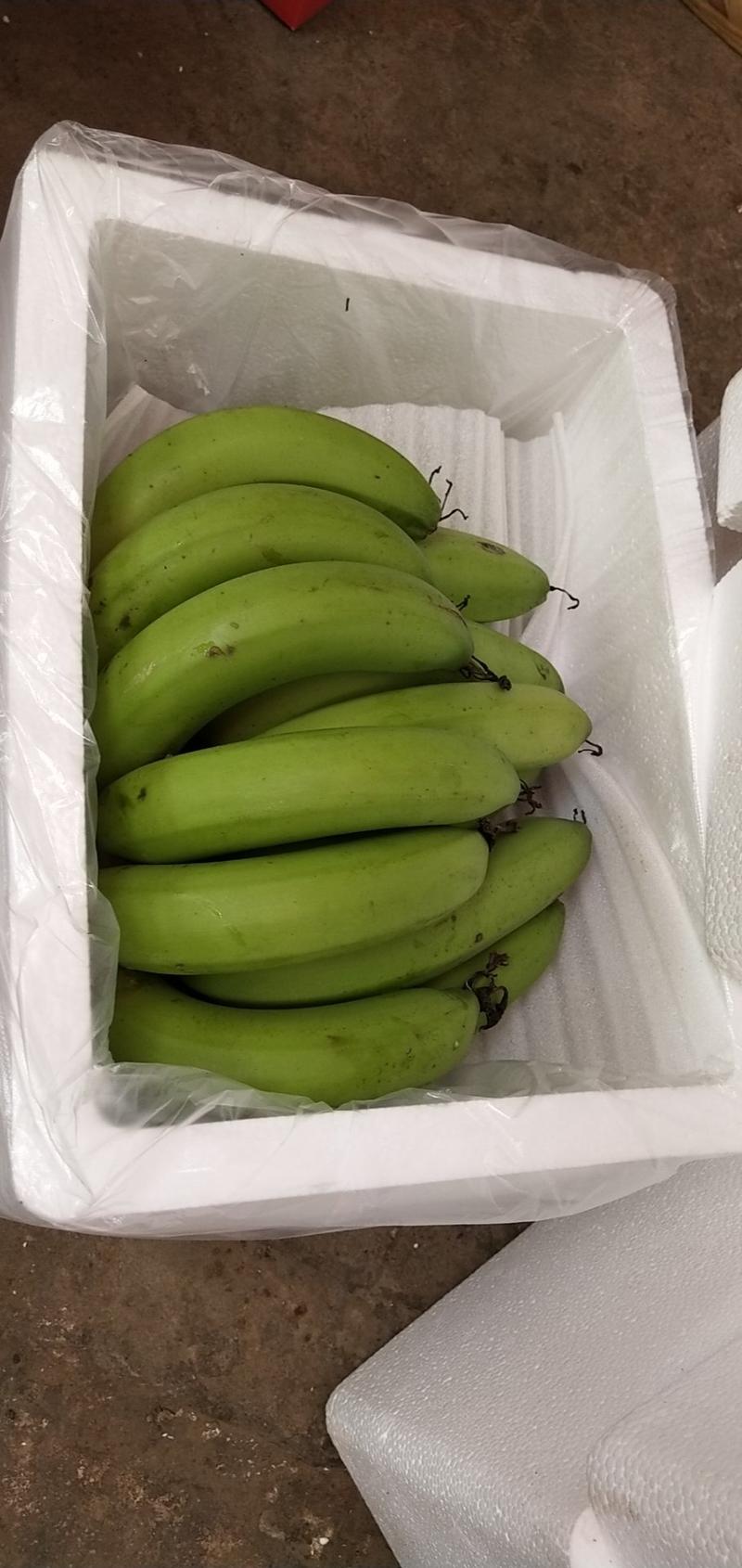 广西新鲜水果巴西香蕉三斤五斤九斤一件包邮