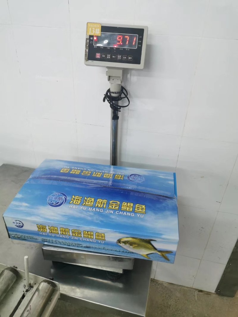 鲳鱼金鲳鱼单冻无冰衣500/600规格鲳鱼