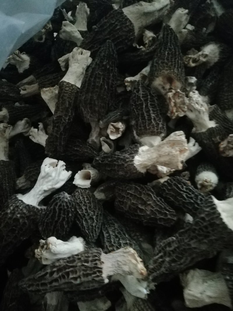 2020年新货特级羊肚菌干货
