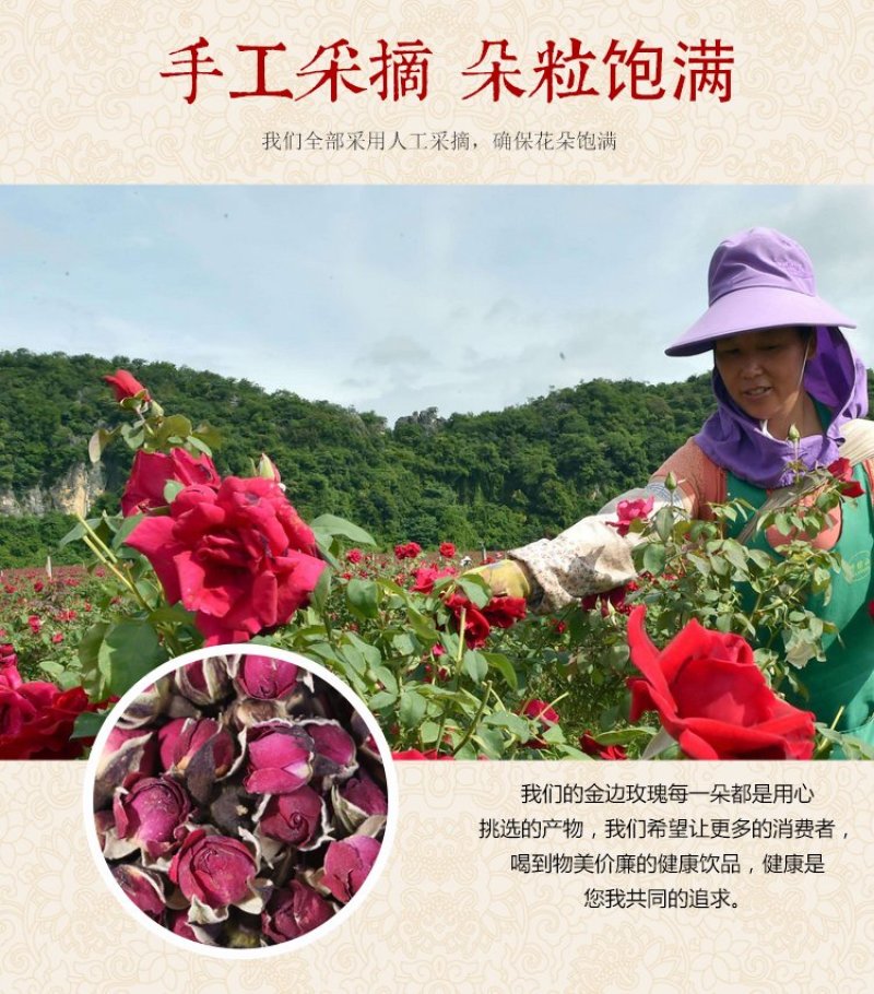 玫瑰花茶天然平阴玫瑰花草茶包邮（偏远地区除外）子露