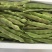 大棚种植油豆角一点红东北油豆角