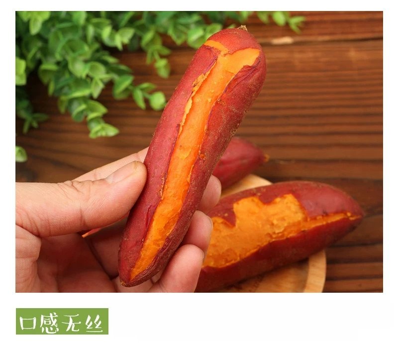 六鳌蜜薯西瓜红红薯适合烤着蒸着吃超甜美味