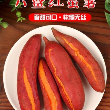 六鳌蜜薯西瓜红红薯适合烤着蒸着吃超甜美味