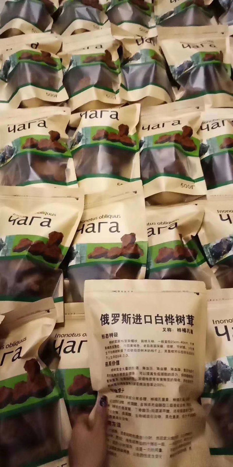 野生桦树茸（俄罗斯进口货）