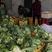 花菜海峡蔬菜批发市场和电商平台大量销售。