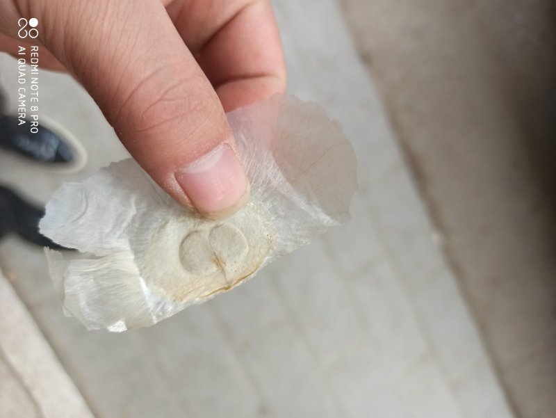 木蝴蝶千纸肉玉蝴蝶白千层中药专营