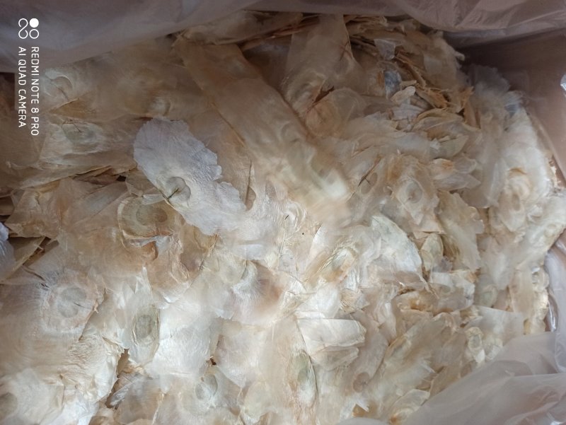 木蝴蝶千纸肉玉蝴蝶白千层中药专营