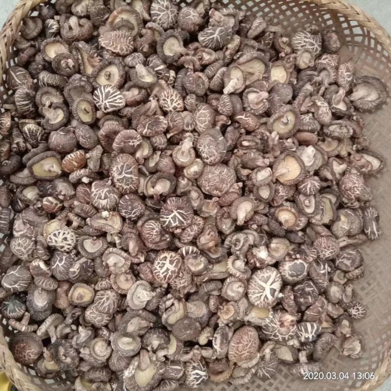 干香菇椴木菇秦岭小香菇