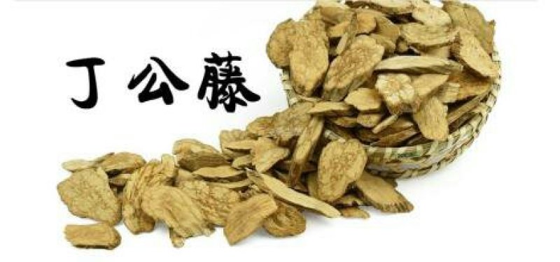 丁公藤，常年批发供应广东货丁公藤