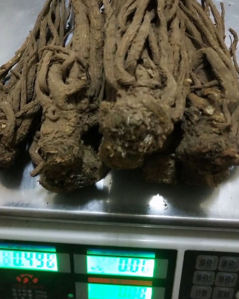 正宗岷县当归条(特大)500克/自家产品/价格便宜